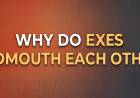 Why Do Exes Badmouth Each Other?
