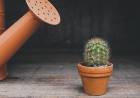 Balanced Growth Towards 30