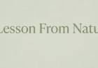 A Lesson From Nature