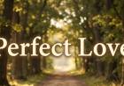 Perfect Love