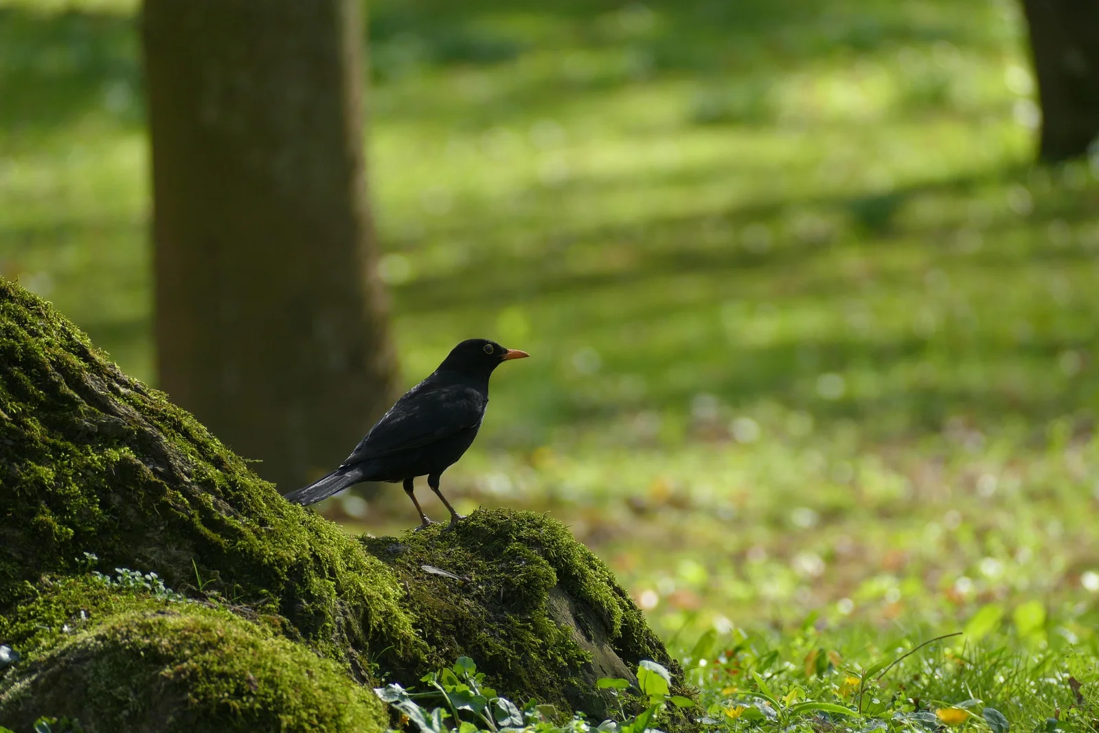 Understanding The Still Small Voice