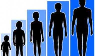 The five stages of spiritual growth