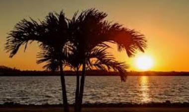 Beauty and The Beast