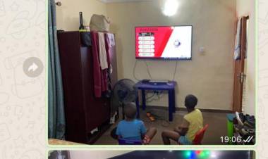 Sunshine in February