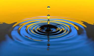 The Ripple Effect