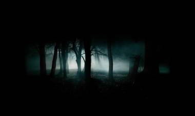 STEP OUT OF THE EERIE DARKNESS