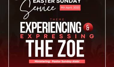 Experiencing and Expressing Zoe