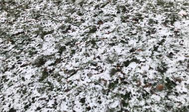 Avoiding Barracudas II