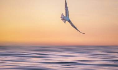 The Place Called Christ