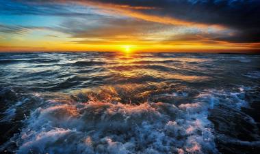 The Scent of WaterÂ