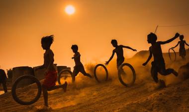 When Dogs Play with Wolves