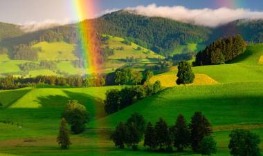 A Prevailer's Testimony