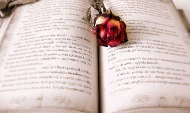 How to Deal with Toxic People