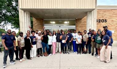 Of Donkeys and Zebras