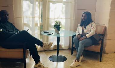 Donkeys and Zebras II