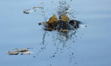 Prophecy Fulfillment