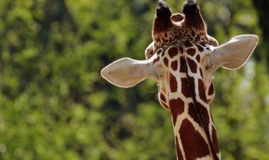 Identifying Spiritual Immaturity