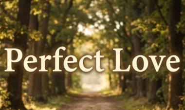 Perfect Love