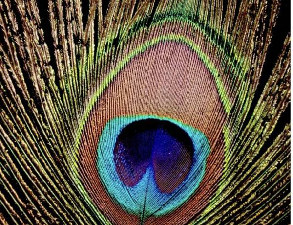 Soteria II: Establishing The Patterns