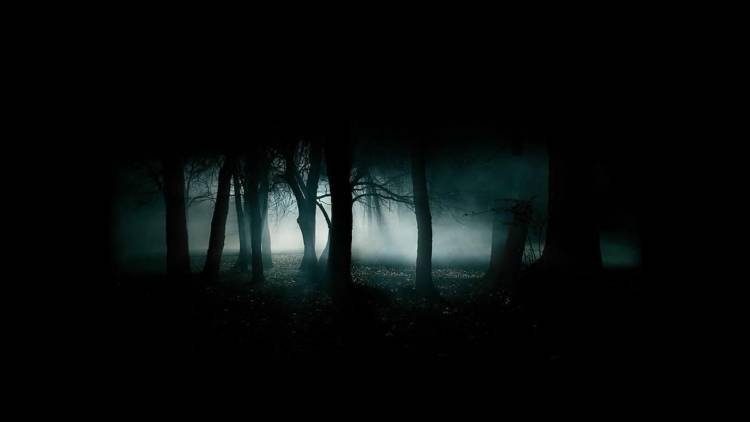 STEP OUT OF THE EERIE DARKNESS