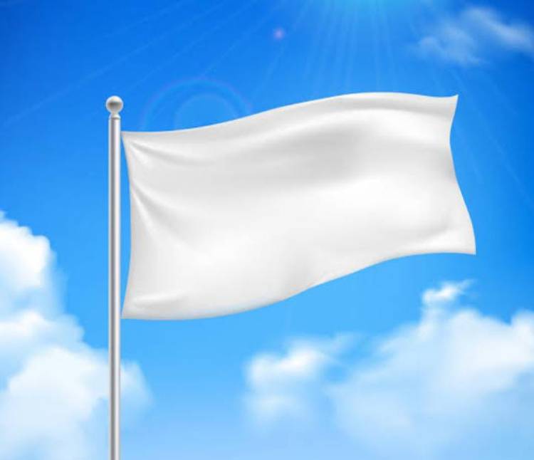 The White House Banner