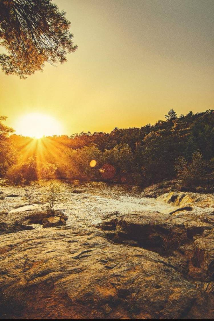 Psalms From The Heart 