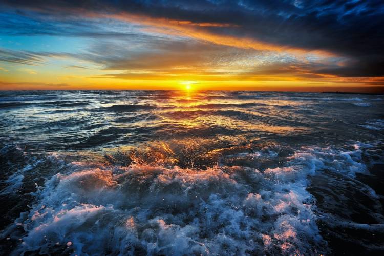 The Scent of Water 