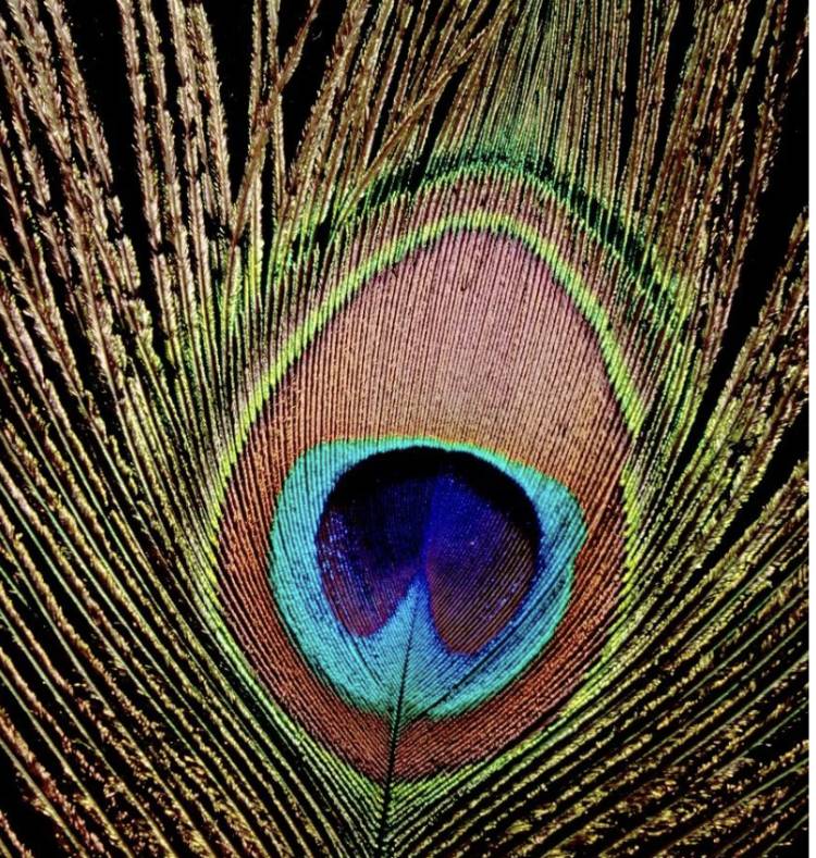 Soteria II: Establishing The Patterns