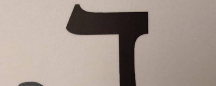 Daleth: Opportunities and Transitions