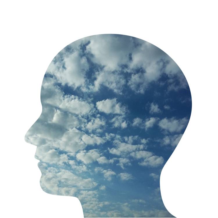 The Debt of Being the Person Who Understands Everyone
