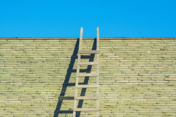 Jacob's Ladder Is A Person